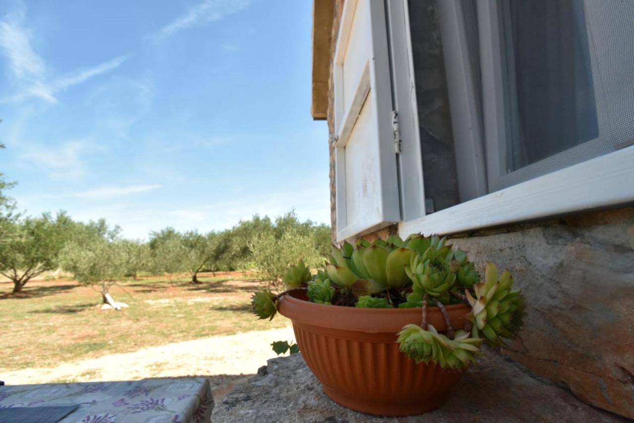 Cottage Rugonj 스타리 그라드 외부 사진